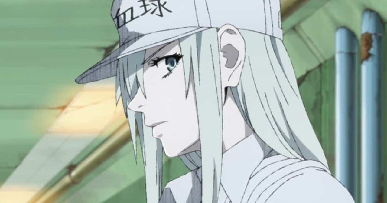 Cells at Work! Black Mendapatkan Adaptasi Anime