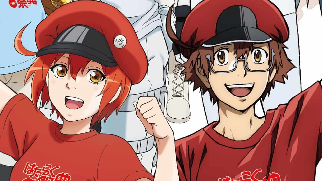 Hataraku Saibou Mengungkapkan Detail Blu-ray/DVD Acaranya Tahun Ini