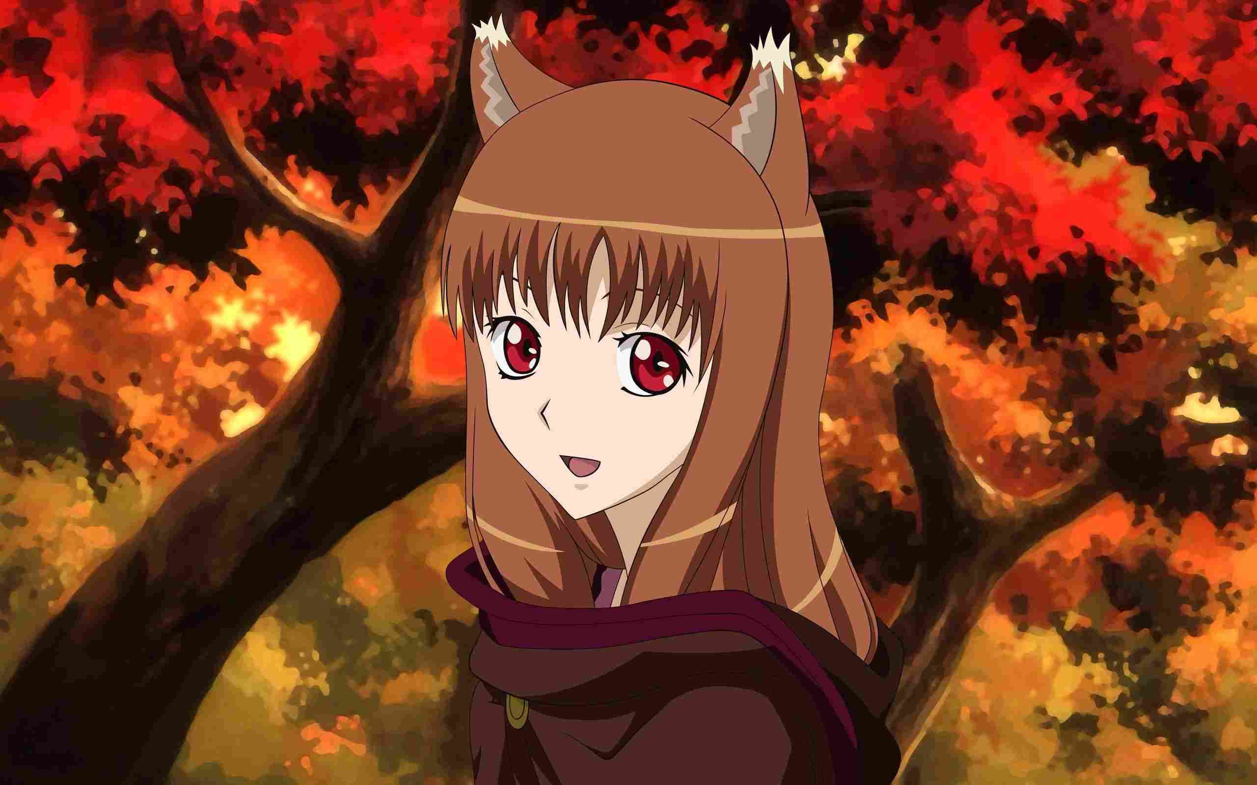 Spice and Wolf Mendapat Project Adaptasi Anime Baru