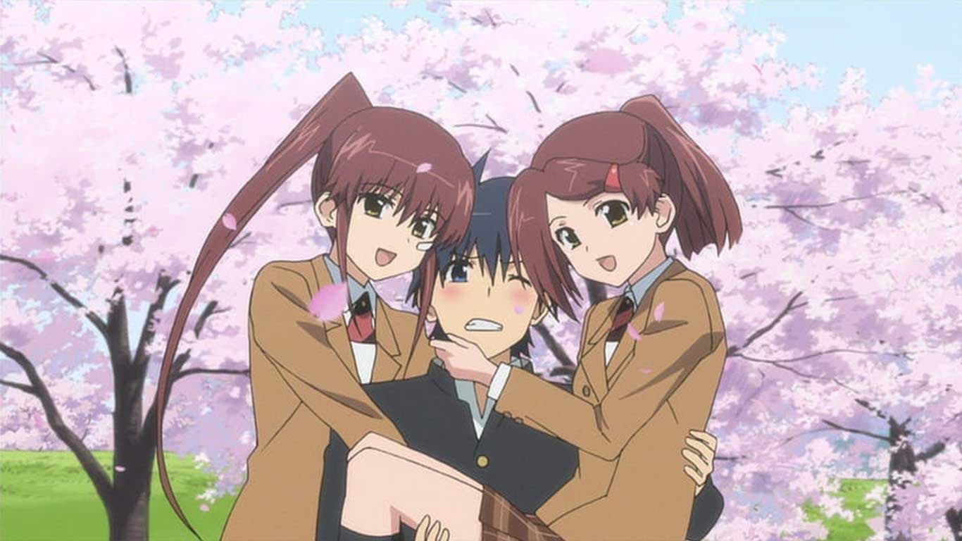 Manga Kiss x Sis Kembali dan otaku merayakannya