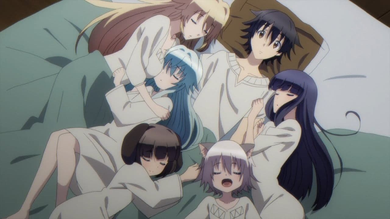 Debat Di Forum Tentang Problematika Protagonis "Cowok Princess" Di Anime Ecchi dan Harem