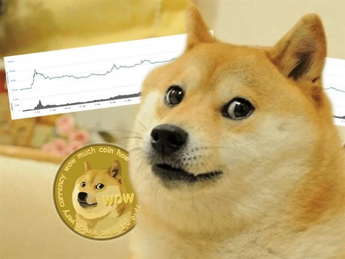Kabosu, Anjing di Balik "Dogecoin", Dikabarkan Telah Meninggal!