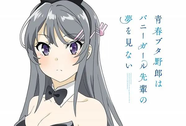 Setelah 10 Tahun, Light Novel Seishun Buta Yaraou Tamat