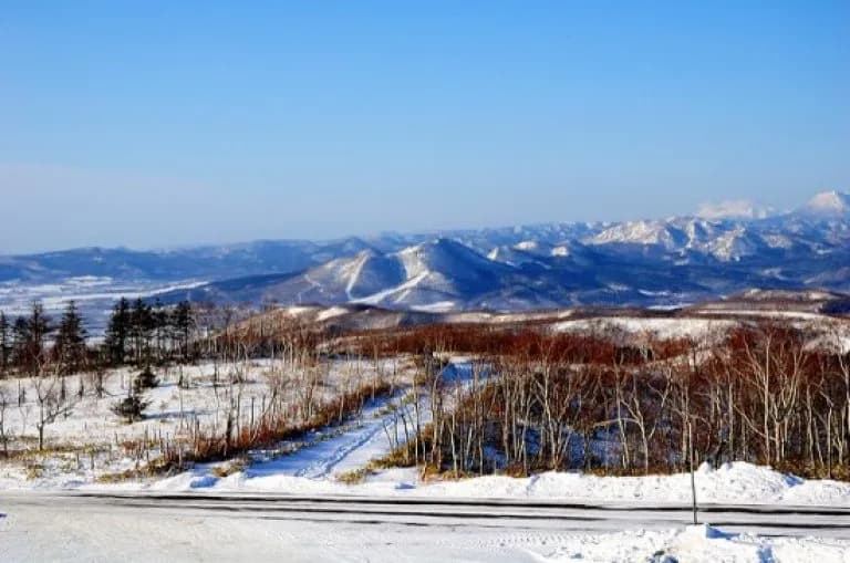 Liburan Musim Dingin: Destinasi Salju di Hokkaido!