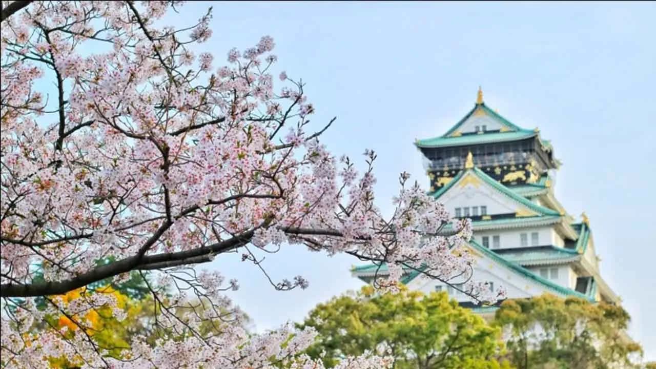 Tips Hemat Liburan ke Jepang untuk Mahasiswa!