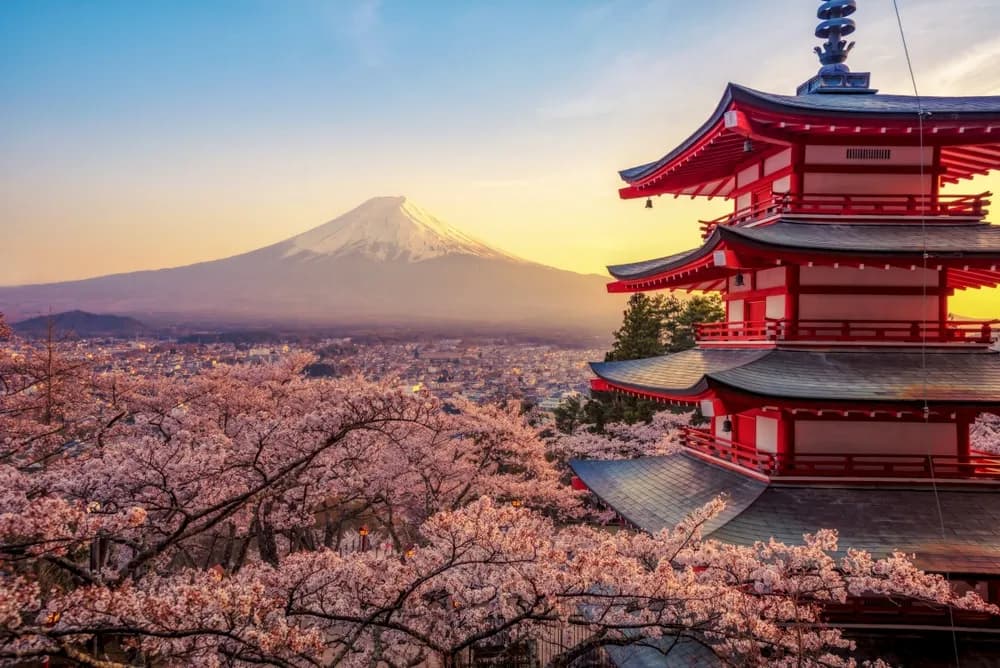 10 Tempat Wisata Wajib Dikunjungi di Tokyo untuk Pemula!