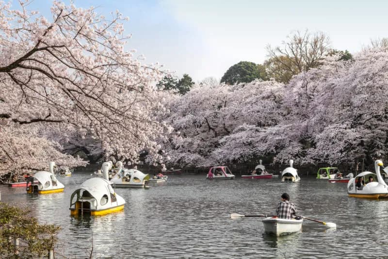 5 Fakta Unik Tentang Hubungan Cinta di Jepang!