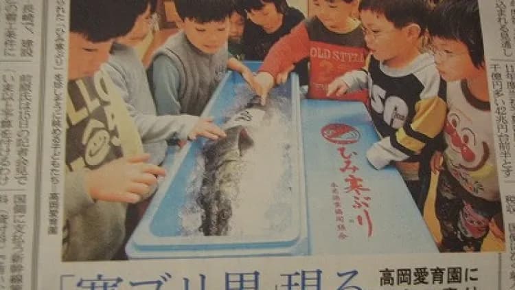 Apa yang Sebenernya Terjadi di Panti Asuhan Jepang?
