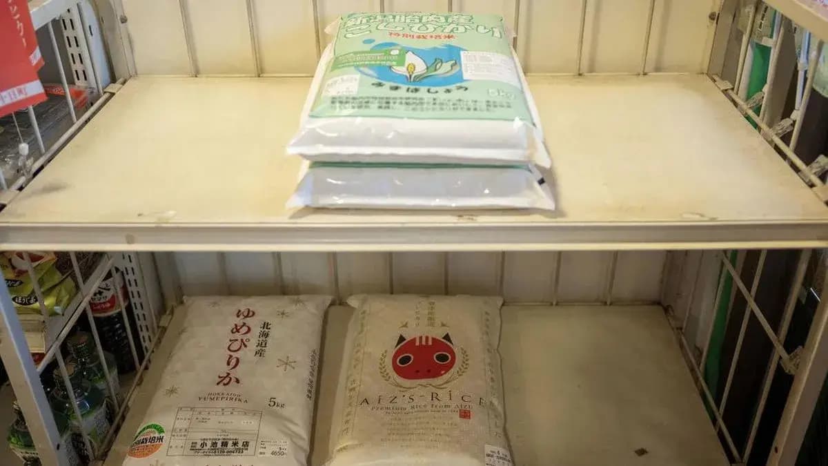Harga Beras Jepang Turun Pertama Kali dalam 18 Minggu, Stok Pemerintah Mulai Mengalir ke Supermarket!