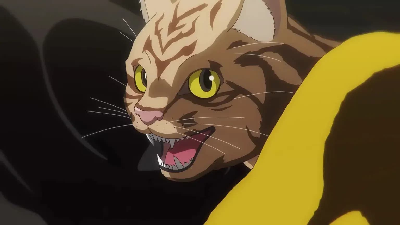 Anime Nyaight of the Living Cat Rilis PV Utama, Tayang 6 Juli di Crunchyroll!