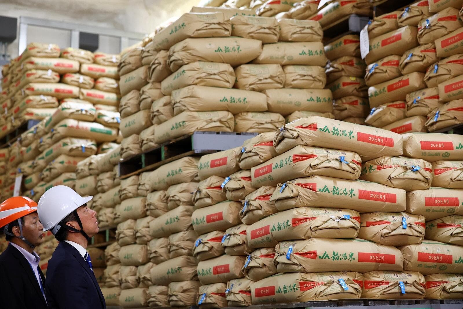 Jepang Lepas Tambahan 200.000 Ton Beras Stok Pemerinta Buat Tekan Harga Beras Yang Melonjak!