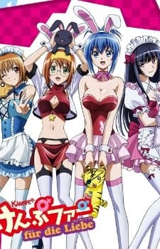 Poster Kämpfer für die Liebe