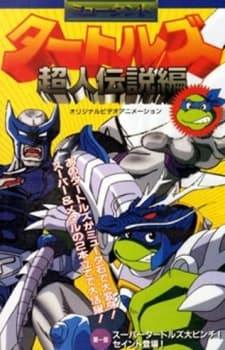 Poster Mutant Turtles: Choujin Densetsu-hen