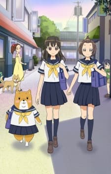 Poster Shiba Inuko-san