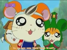 Poster Hamtaro Hai!
