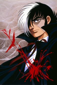 Poster Black Jack