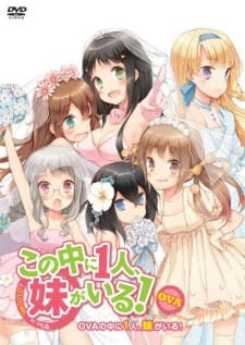 Poster NAKAIMO - My Little Sister Is Among Them!: Ani, Imouto, Koibito