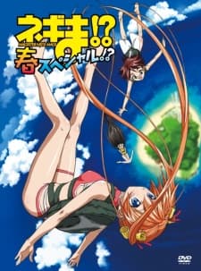Poster Negima!? Magister Negi Magi: Spring