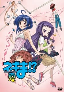 Poster Negima!? Magister Negi Magi: Summer