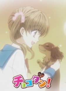 Poster Chokotan!