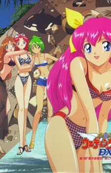 Poster Wedding Peach DX