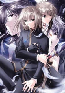 Poster Angel's Feather