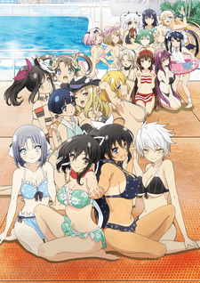Poster Senran Kagura: Estival Versus - Festival Eve Full of Swimsuits