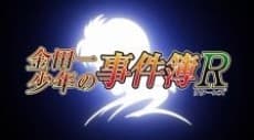 Poster The File of Young Kindaichi Returns: Akechi Keibu no Jikenbo