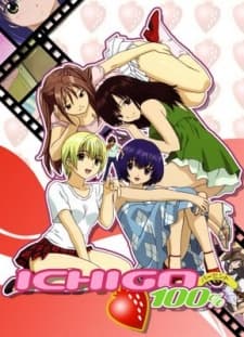 Poster Strawberry 100%