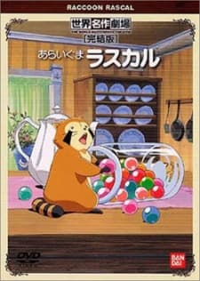 Poster Raccoon Rascal