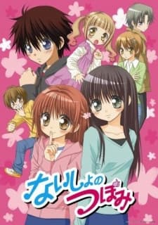 Poster Naisho no Tsubomi