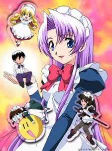 Poster Hanaukyou Maid-tai