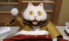 Poster Kotatsu Cat