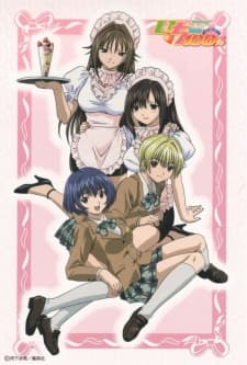 Poster Strawberry 100%