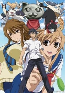 Poster Nyan Koi!