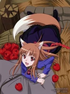 Poster Spice and Wolf II Specials