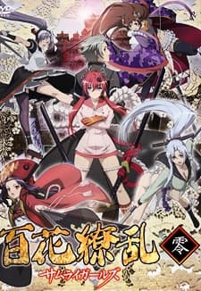 Poster Samurai Girls