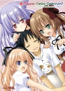 Poster Mayoi Neko Overrun! Specials