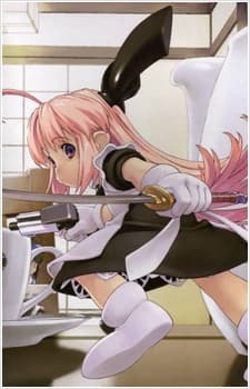 Poster Ichigeki Sacchuu!! Hoihoi-san
