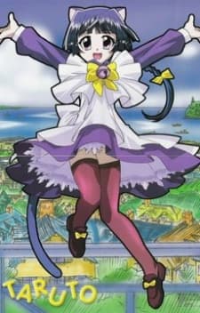 Poster Magical Meow Meow Taruto