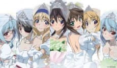 Poster IS: Infinite Stratos 2 - Infinite Wedding