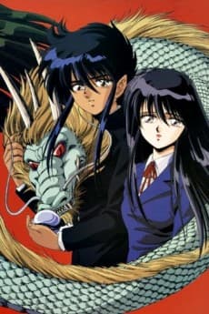 Poster Dragon Fist