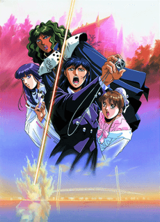 Poster Silent Möbius 2: The Motion Picture