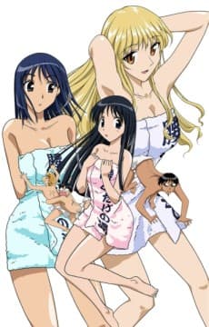 Poster School Rumble OVA