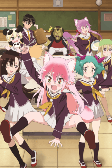 Poster Seton Academy: Join the Pack!