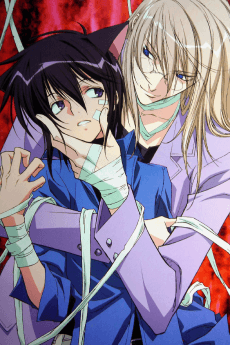 Poster Loveless