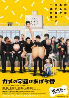 Poster A Turtle's Shell is a Human's Ribs