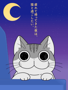 Poster Nights with a Cat Season 2