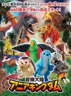 Poster ANIA KINGDOM