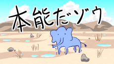 Poster Passionate Elephant